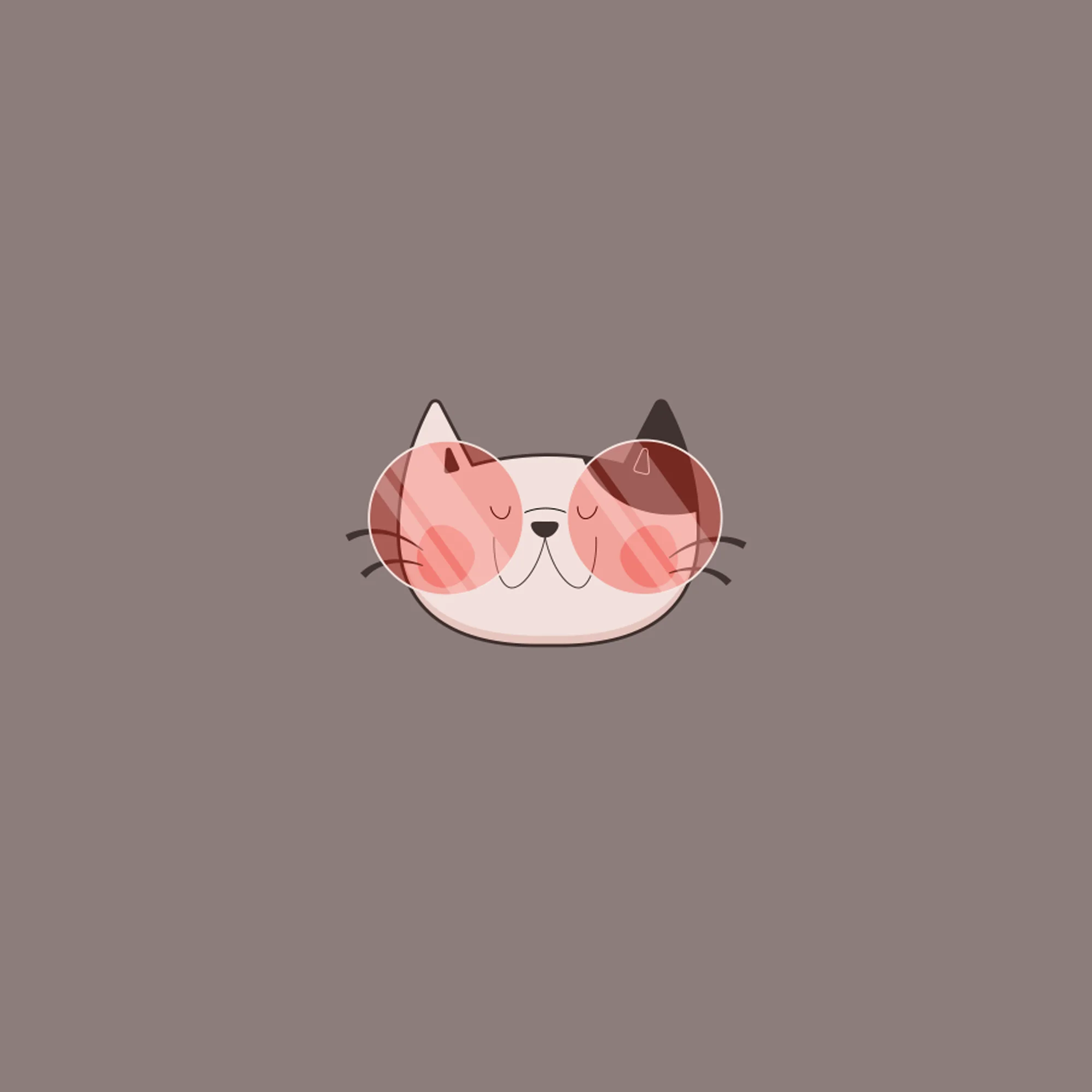Capa do curso Ilustração gato - Brush Power